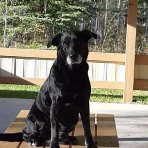 Meet your Posher, Jane